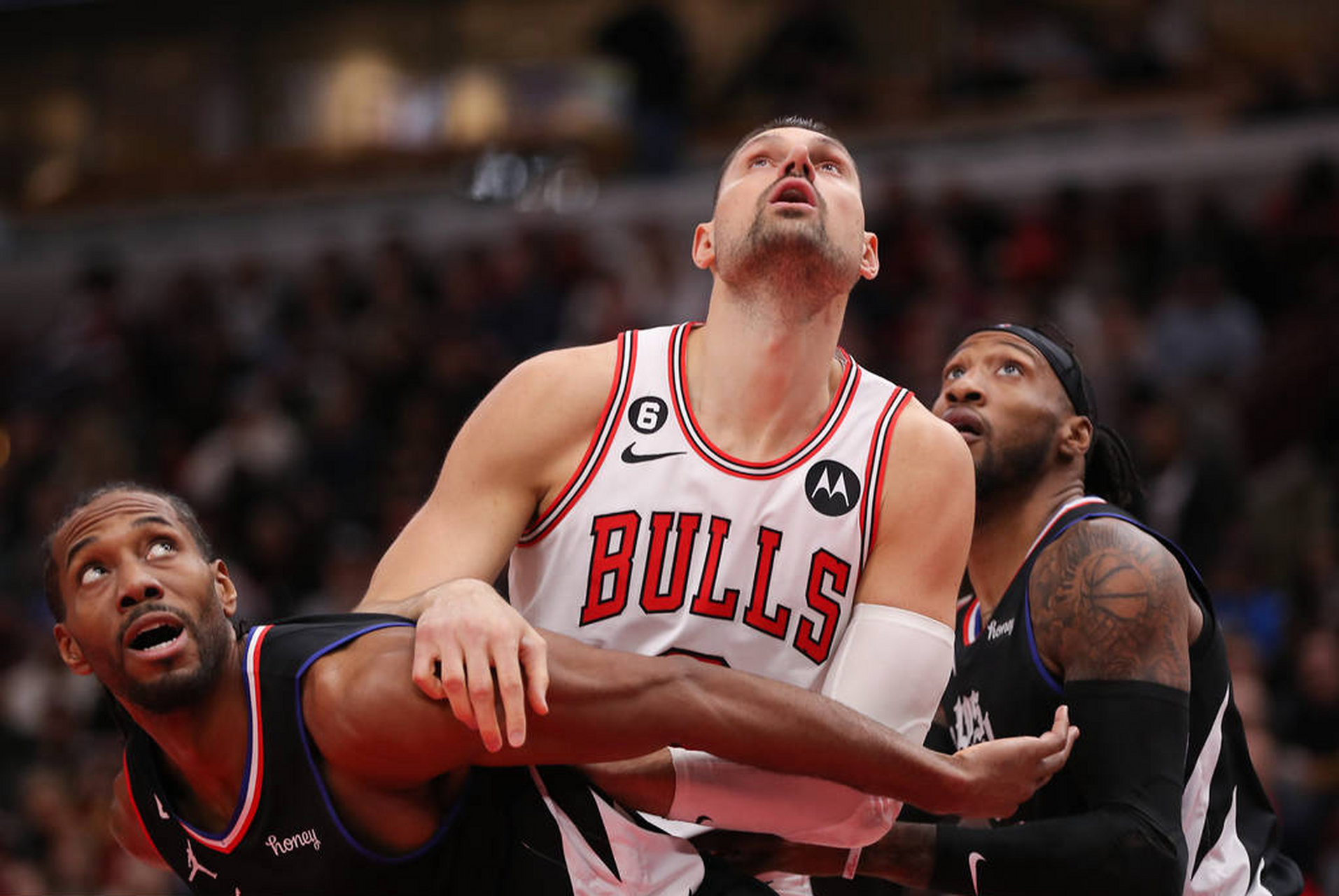 公牛队全明星 公牛队全明星